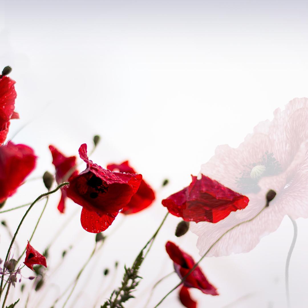 Remembrance-Social-Media-1080p