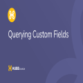 Querying Custom Fields